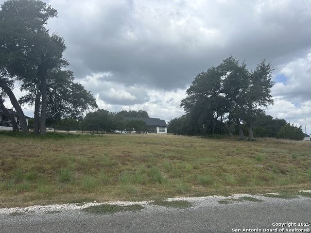 Details for 208 Frank Jones, Blanco, TX 78606