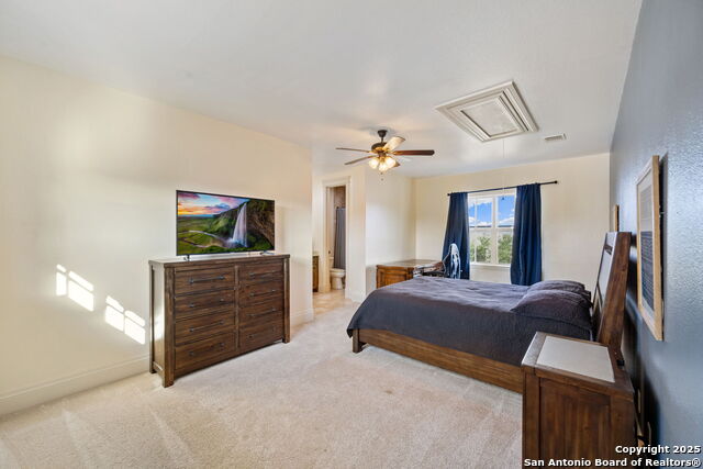 Image 48 of 76 For 239 Lismore  