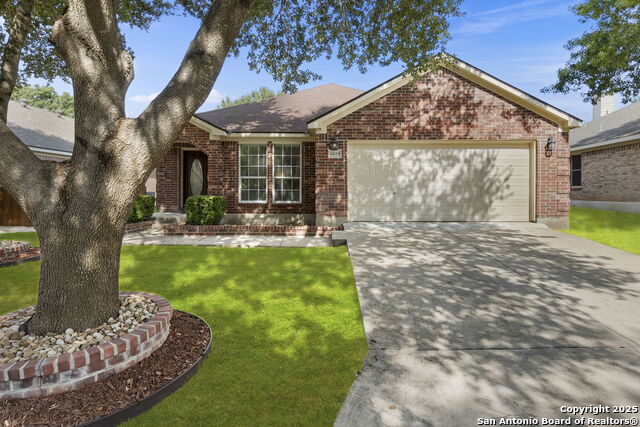 Details for 14119 Silver Charm, San Antonio, TX 78248