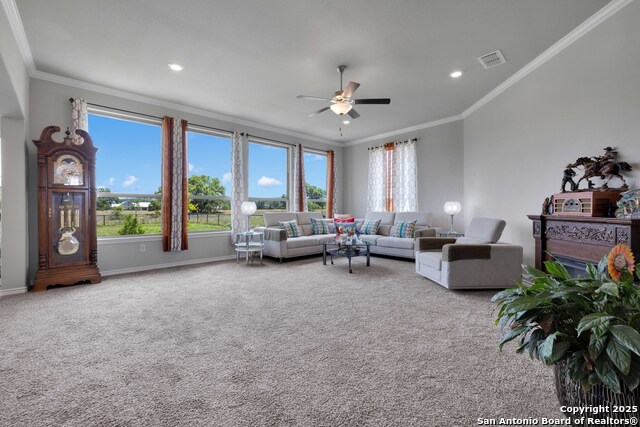 Image 6 of 23 For 936 Martingale