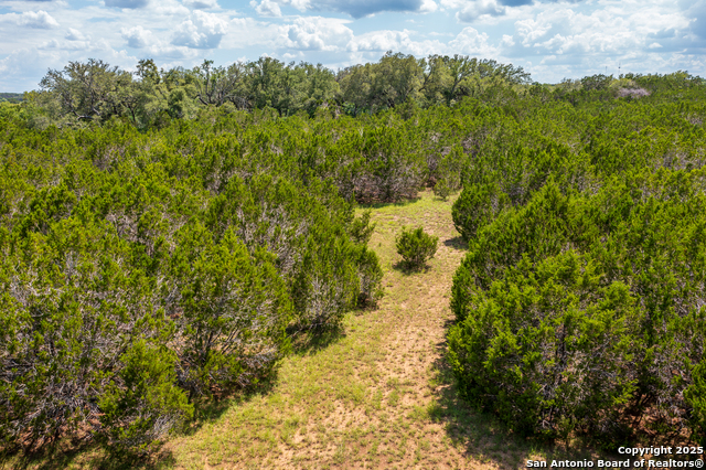 Image 3 of 10 For 1421 Cr 281