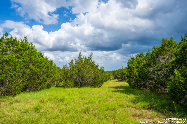 Image 6 of 10 For 1421 Cr 281