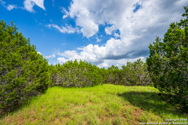 Image 7 of 10 For 1421 Cr 281