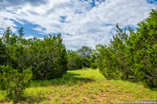 Image 8 of 10 For 1421 Cr 281