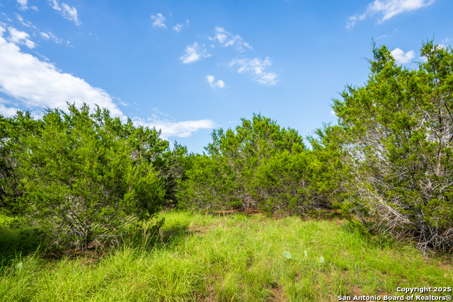 Image 9 of 10 For 1421 Cr 281