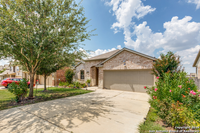 Details for 445 Red Morganite, Buda, TX 78610