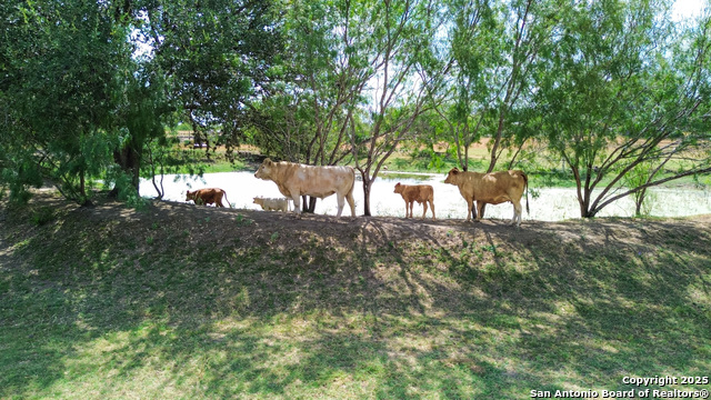 Image 3 of 18 For 16587 S Loop 1604 W