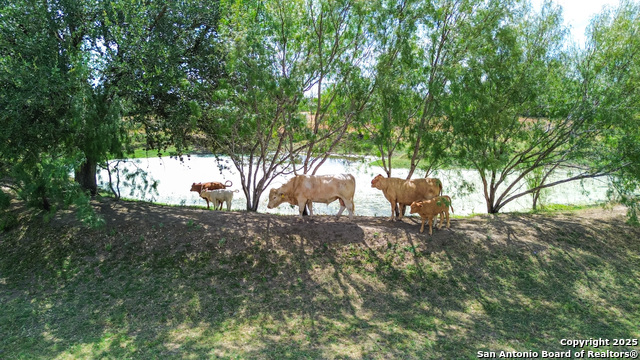 Image 4 of 18 For 16587 S Loop 1604 W