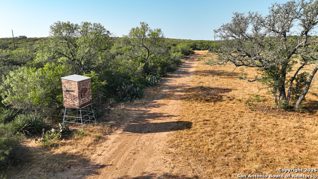 Image 15 of 74 For 2925 Fm 462  