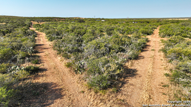 Image 18 of 74 For 2925 Fm 462  