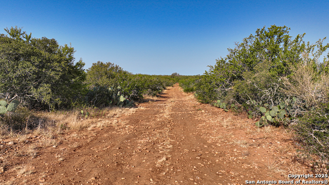 Image 23 of 74 For 2925 Fm 462  