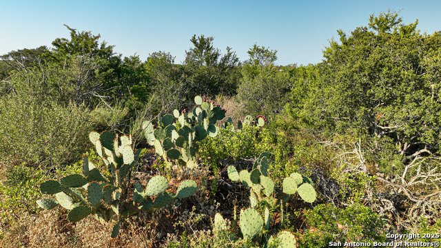 Image 25 of 74 For 2925 Fm 462  