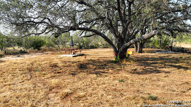 Image 31 of 74 For 2925 Fm 462  