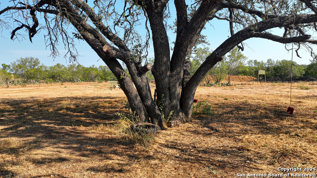 Image 33 of 74 For 2925 Fm 462  