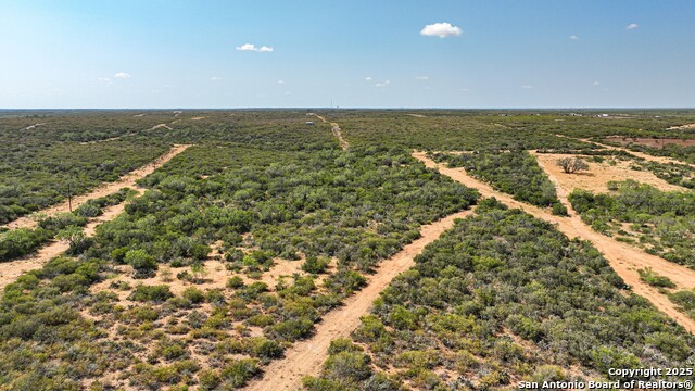 Image 42 of 74 For 2925 Fm 462  