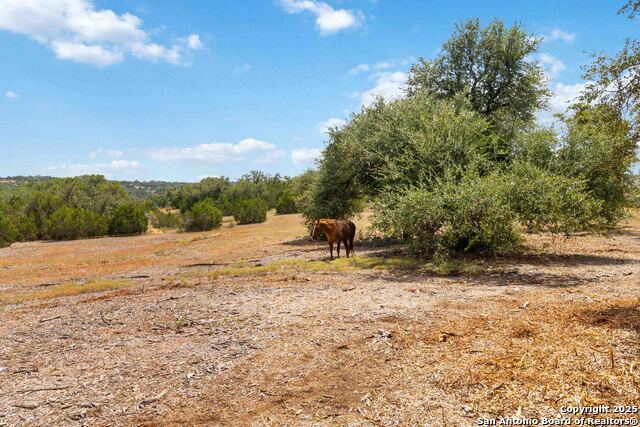 Listing photo id 33 for 1012 Rivers Peak