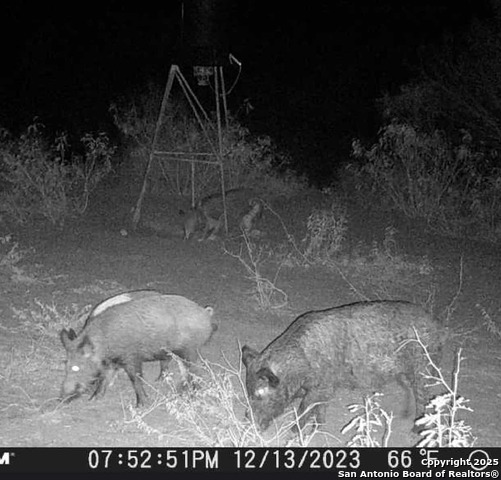 Image 9 of 12 For 7 Fm 1581  