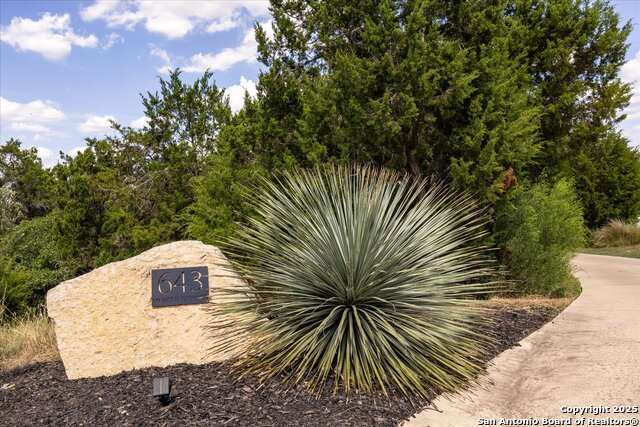 Listing photo id 43 for 643 Menger Springs