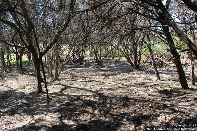 Listing photo id 2 for 535 Ridgerock