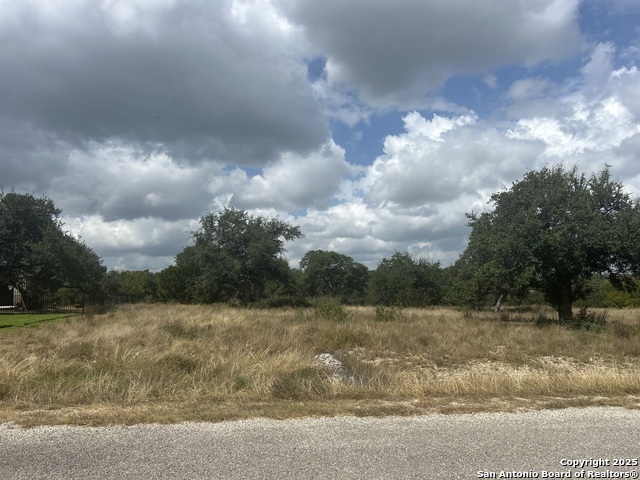 Details for 108 Riley Wood, Blanco, TX 78606