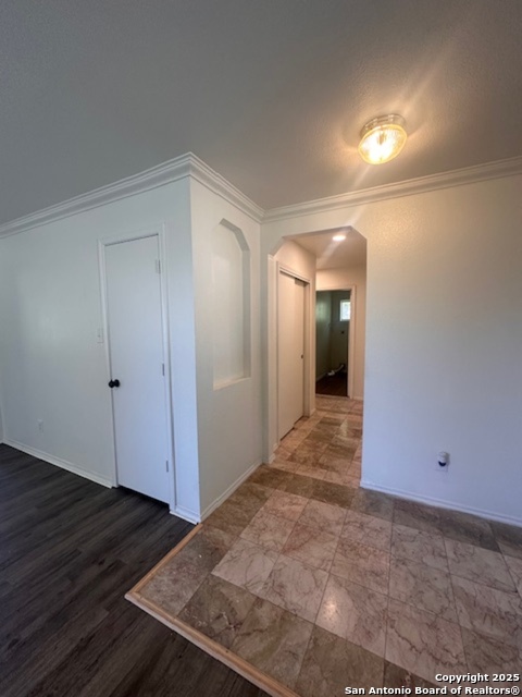 Image 14 of 25 For 1667 Spice