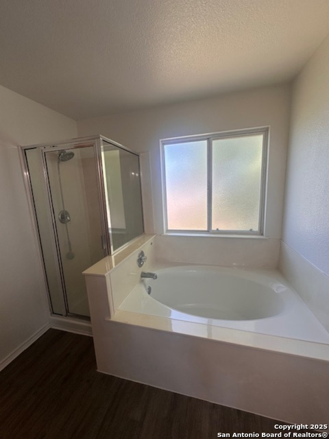 Image 19 of 25 For 1667 Spice