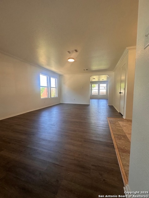 Image 2 of 25 For 1667 Spice