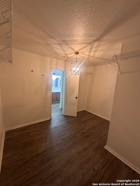 Image 20 of 25 For 1667 Spice