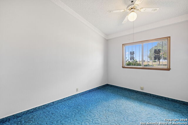 Listing photo id 14 for 8677 Kirkner Rd