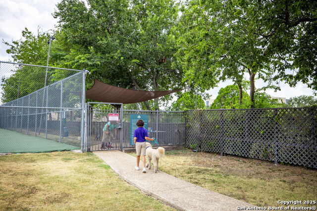 Image 46 of 50 For 7707 Broadway St 24