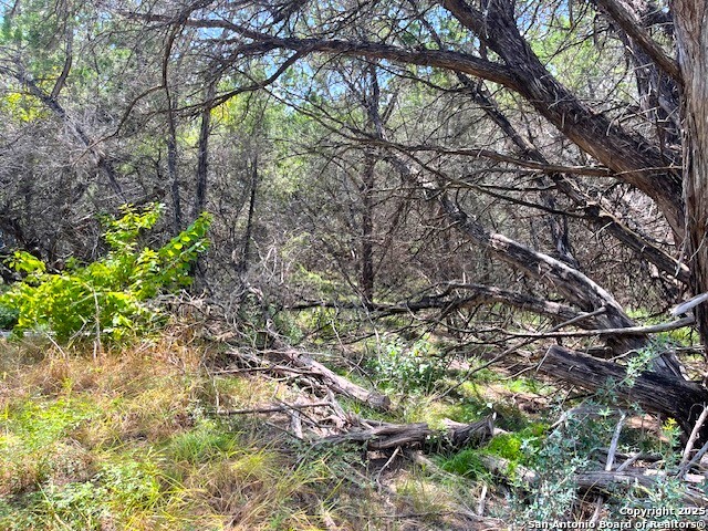 Image 2 of 10 For 455 Spur Road