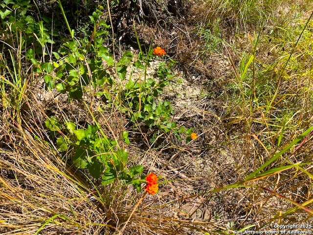 Image 8 of 10 For 455 Spur Road