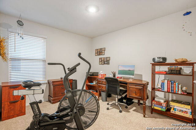 Listing photo id 19 for 377 Middle Green Loop