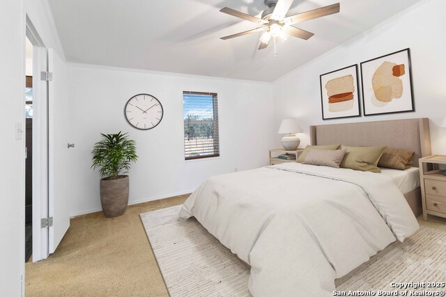 Listing photo id 10 for 303 County Road 425