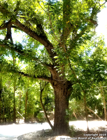 Image 5 of 22 For 1597 County Road 4713