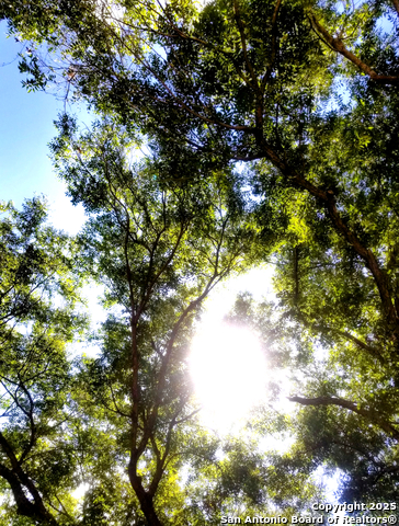 Image 8 of 22 For 1597 County Road 4713