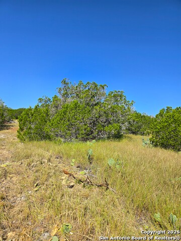 Image 23 of 72 For 227 Mitchell Ranch Road