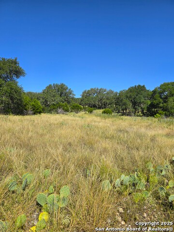 Image 32 of 72 For 227 Mitchell Ranch Road