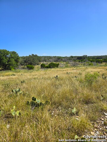 Image 33 of 72 For 227 Mitchell Ranch Road