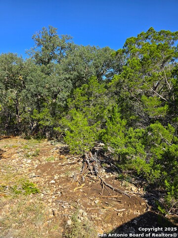 Image 39 of 72 For 227 Mitchell Ranch Road