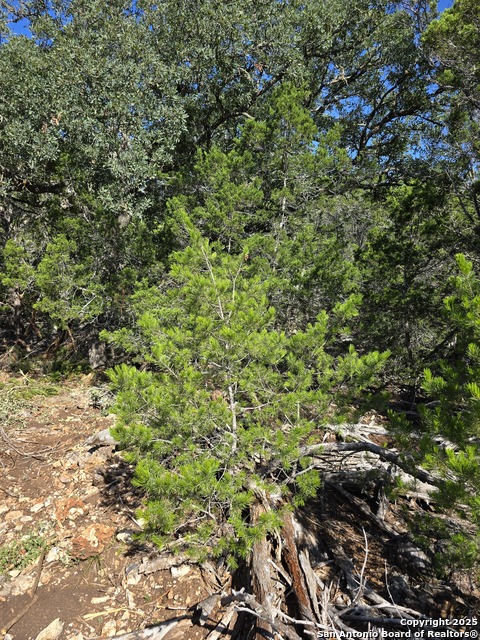 Image 41 of 72 For 227 Mitchell Ranch Road