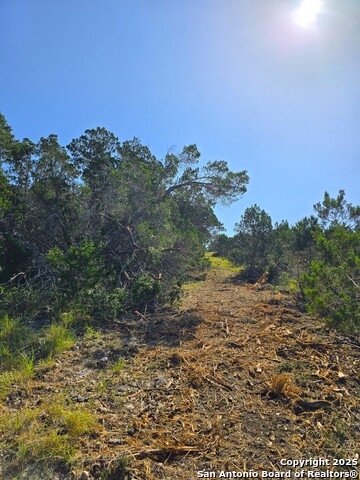 Image 42 of 72 For 227 Mitchell Ranch Road