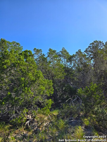 Image 43 of 72 For 227 Mitchell Ranch Road