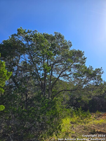 Image 45 of 72 For 227 Mitchell Ranch Road