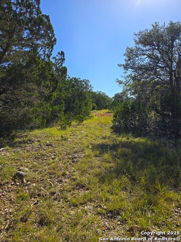 Image 46 of 72 For 227 Mitchell Ranch Road