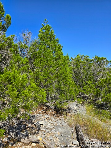 Image 68 of 72 For 227 Mitchell Ranch Road