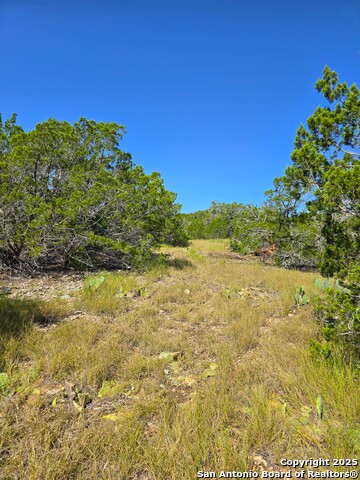 Image 69 of 72 For 227 Mitchell Ranch Road