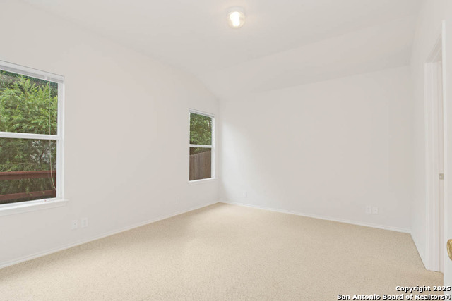 Image 14 of 30 For 5551 Painter Green