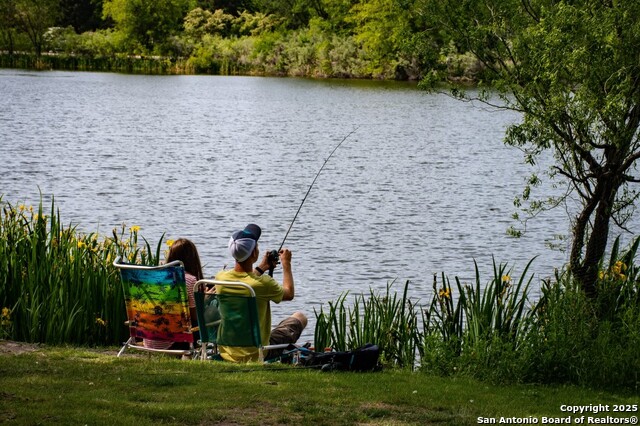 Image 30 of 30 For 411 George Dolson