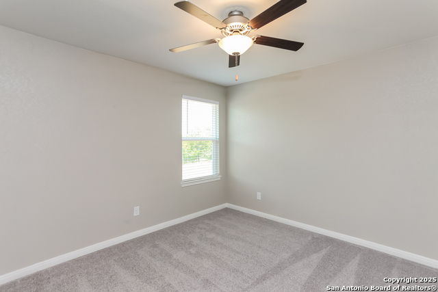 Image 7 of 17 For 3119 Begonia